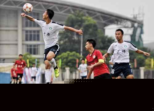 斯基拉：热刺很满意帕利尼亚，准备开始和拜仁谈买断（斯基拉：热刺认可帕利尼亚表现，将与拜仁启动买断谈判）