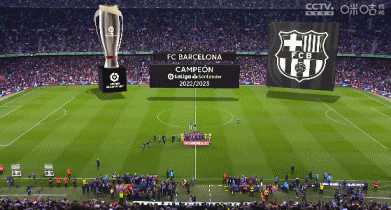 TA：贝隆因指示球员在赛前列队礼中背对对手被禁足6个月